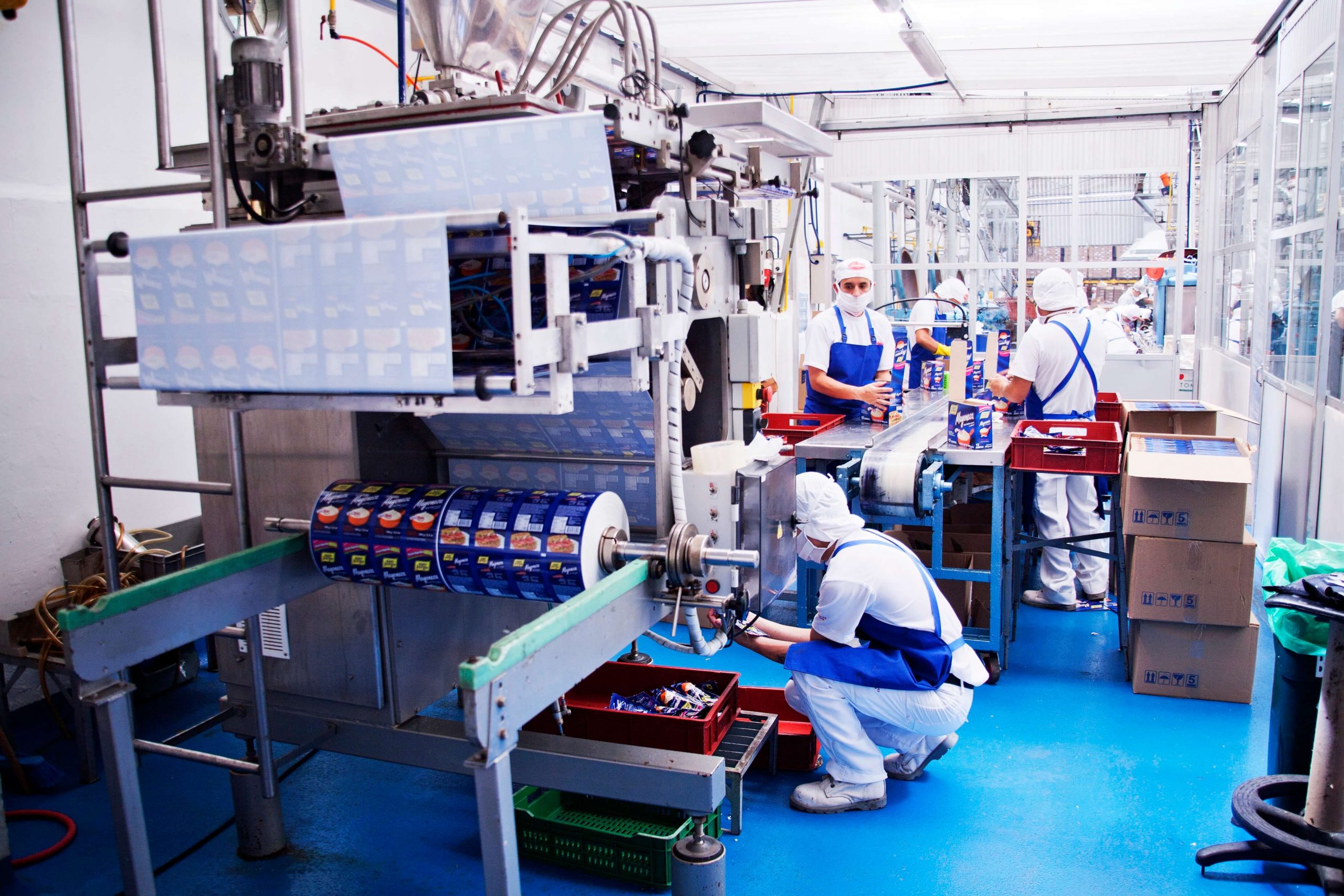 sector-alimentos-soluciones-equipos-grupo-testek