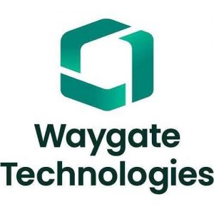 Logo Waygate Technologies-Grupo Testek