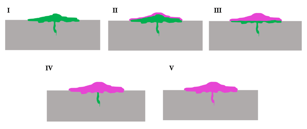 Proceso de Emulsificación 