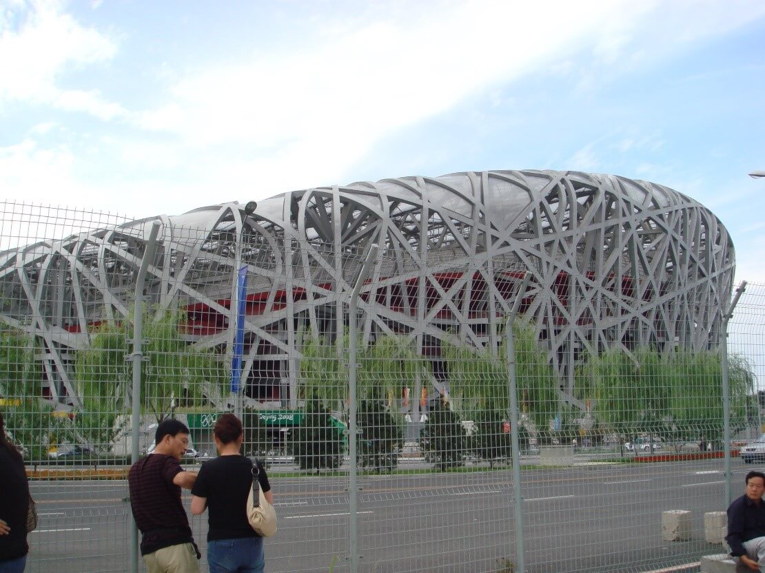 Nido de pájaro Birds Nest